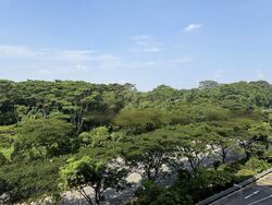 Blk 478C Valley Spring @ Yishun (Yishun), HDB 4 Rooms #519671901